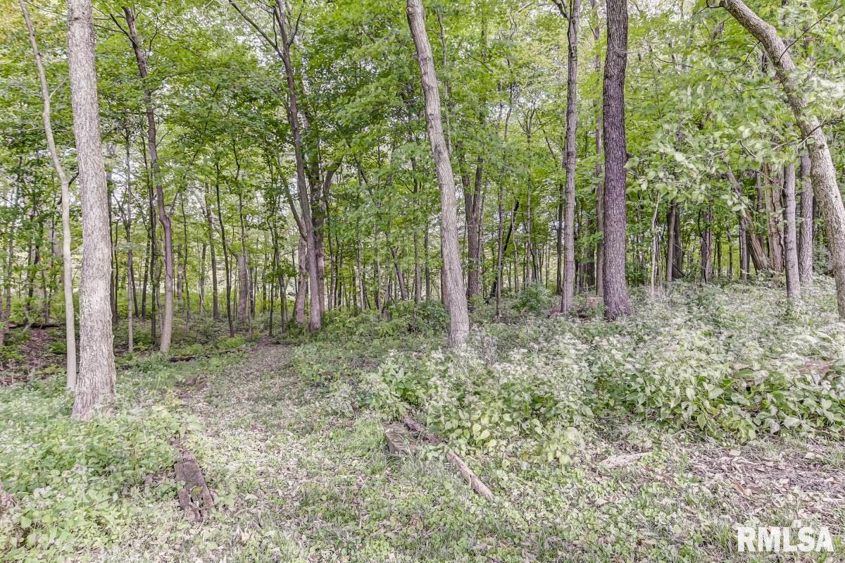 6200 Westminster Court Springfield, IL 62711 - Photo 44 of 47 Gallery Image 44