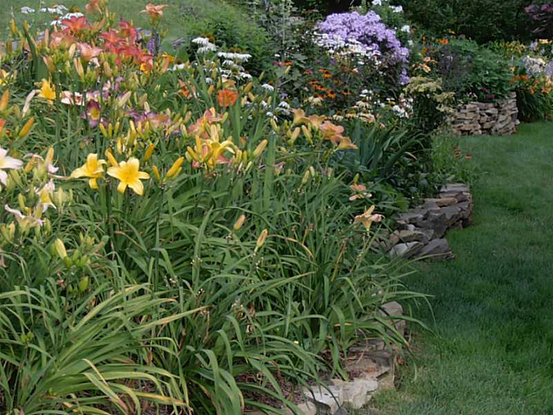 251 Ritter Road Sewickley, PA 15143 - Photo 22 of 24 Land. Summer time perennial gardens