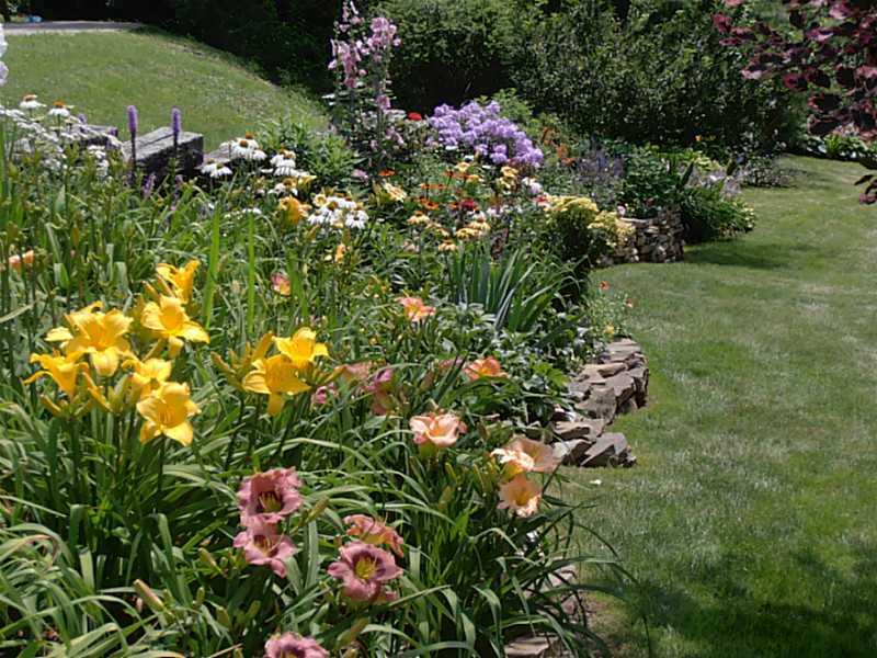 251 Ritter Road Sewickley, PA 15143 - Photo 24 of 24 Land/Lot. Summer time perennial gardens