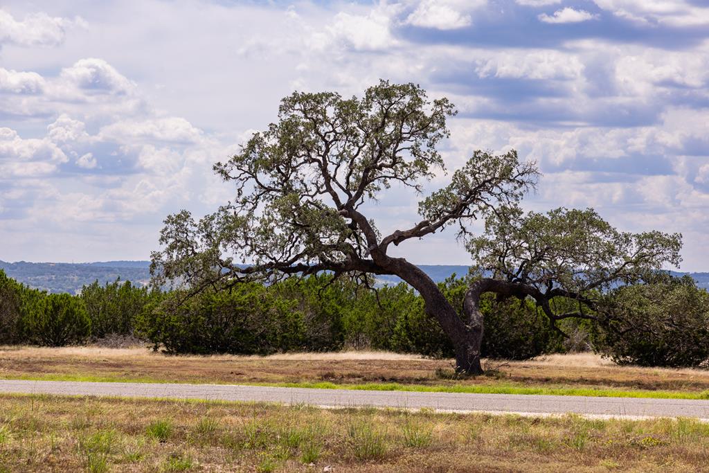 407 Dark Sky Path Kerrville, TX 78028 - Photo 12 of 37
