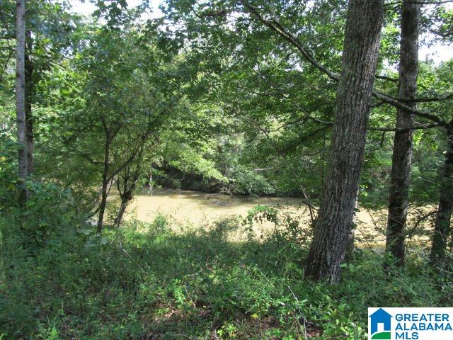 79 Highway 79, Unit 33 Cleveland, AL 35049 - Photo 21 of 32