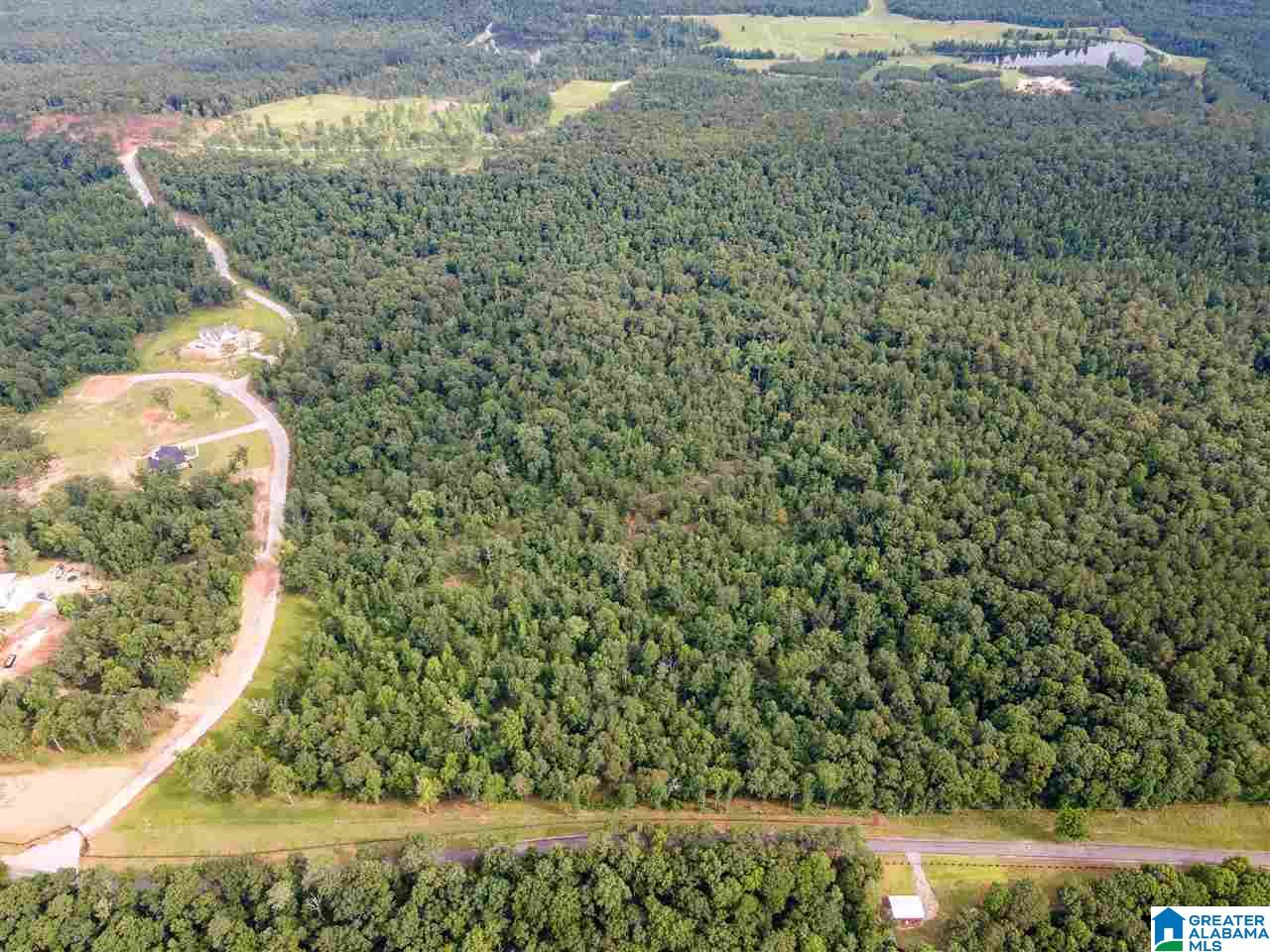242 Spring Water Farms, Unit 1 Helena, AL 35022 - Photo 6 of 8