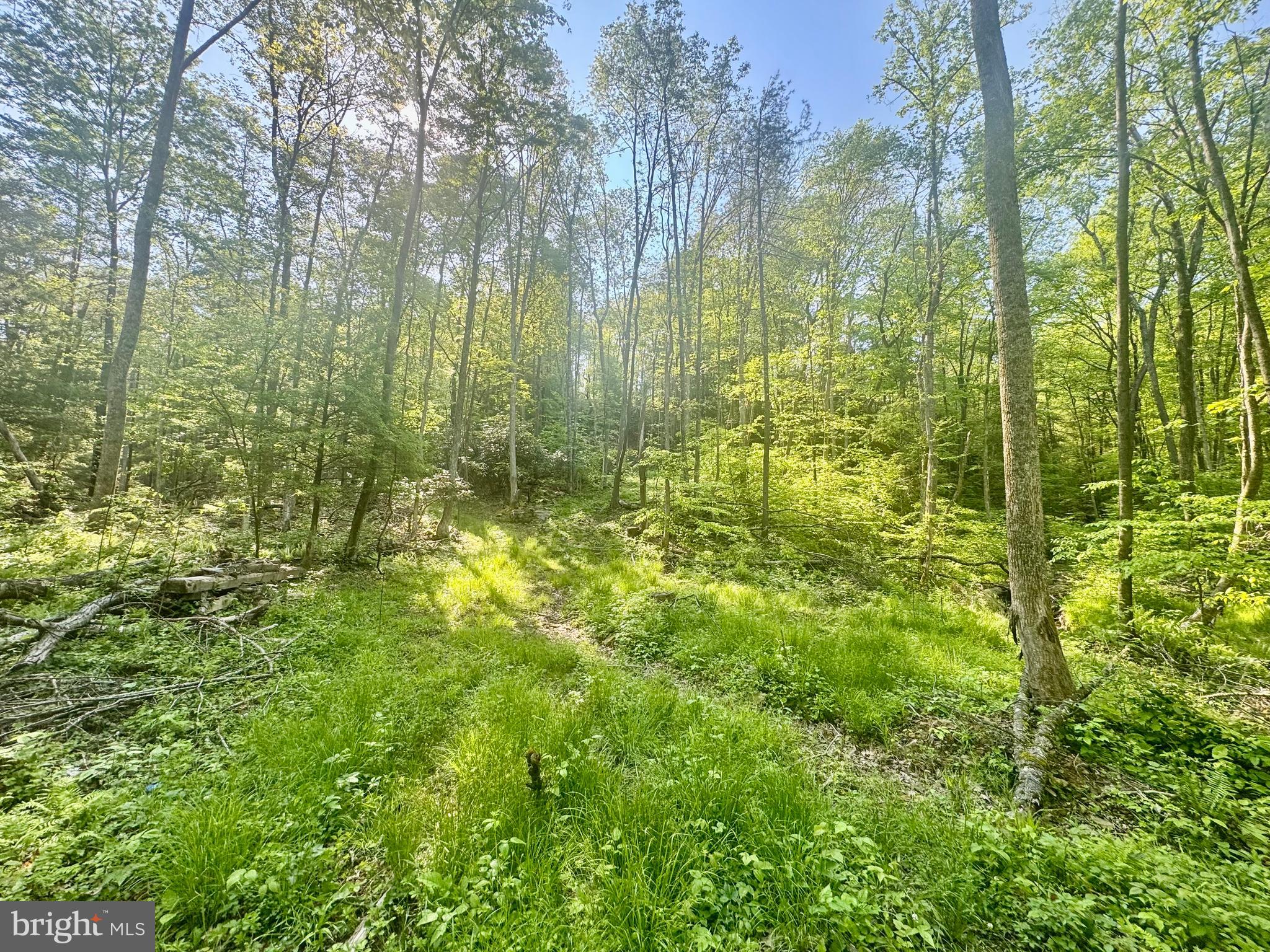 Tract B John Orr Road Independence, WV 26374 - Photo 21 of 30