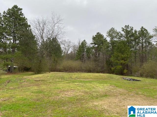 305 West Point Road Jacksonville, AL 36265 - Photo 31 of 31
