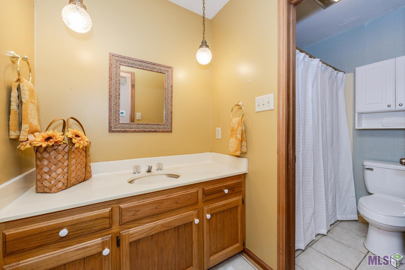 15465 Summerwood Avenue Baton Rouge, LA 70817 - Photo 15 of 31 Hall Bathroom