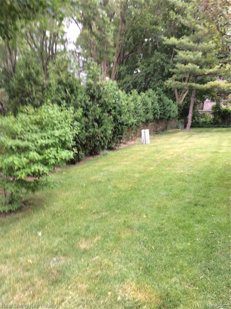 97 Walnut Boulevard, Unit 3 Rochester, MI 48307 - Photo 11 of 11 IMG_0363.JPG