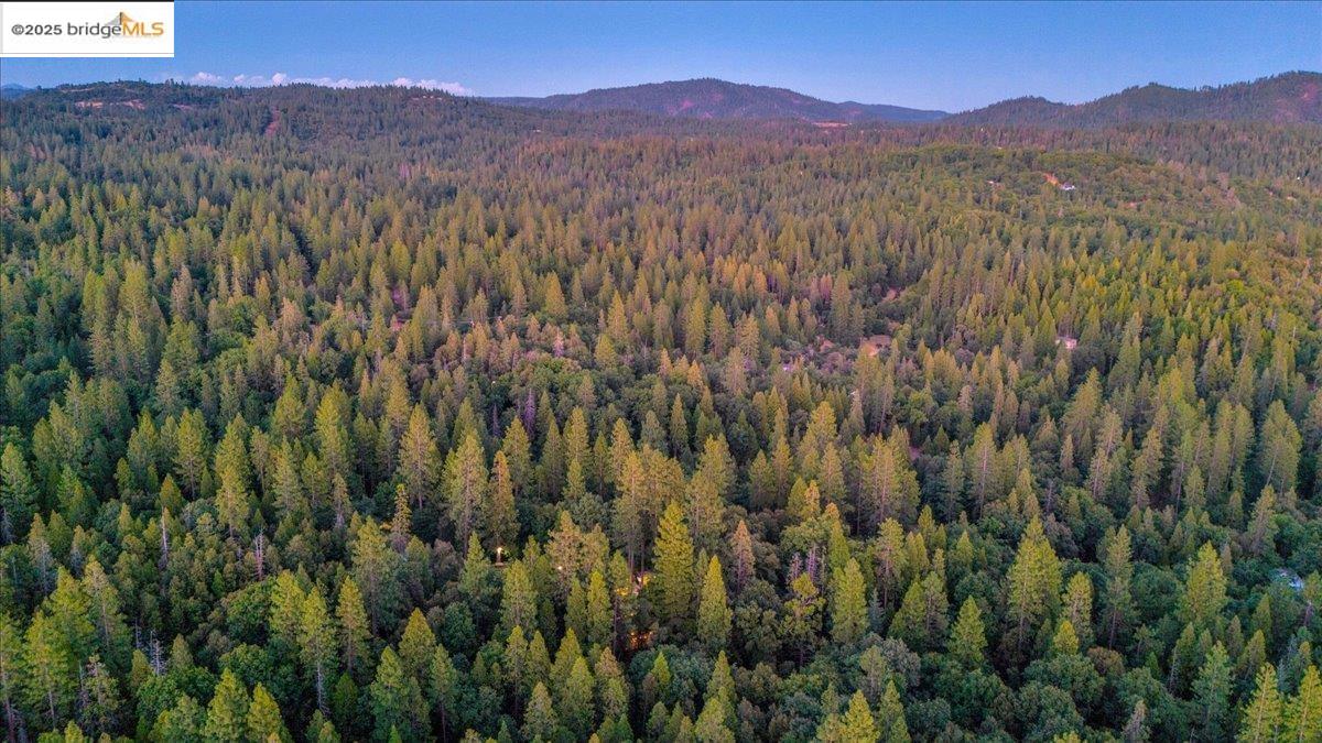 22732 Middle Camp Road Sonora, CA 95370 - Photo 39 of 39