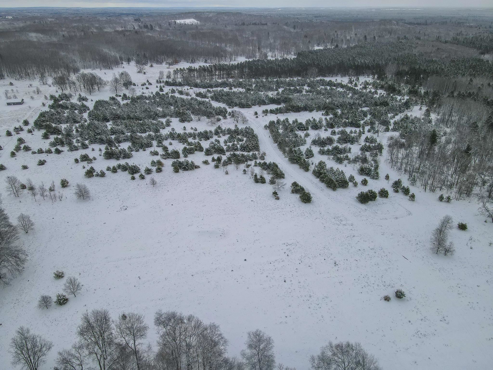 81-acres North 25 Road Buckley, MI 49620 - Photo 1 of 36