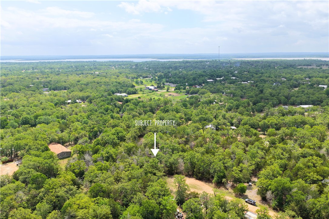 405 Possum Run Somerville, TX 77879 - Photo 3 of 9 a view of a city with lush green forest