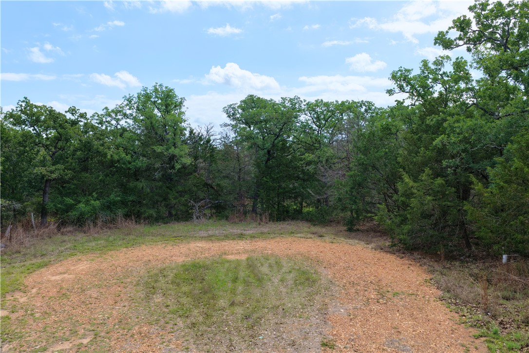 405 Possum Run Somerville, TX 77879 - Photo 6 of 9 a view of a forest with trees in the background