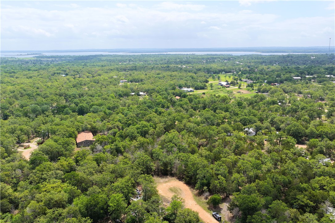 405 Possum Run Somerville, TX 77879 - Photo 7 of 9 a view of a city with lush green forest