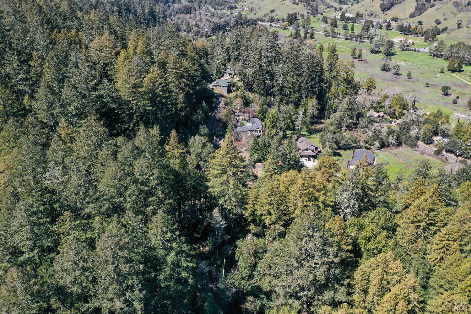 5-9 Meadow View Lane San Geronimo, CA 94963 - Photo 6 of 9 an aerial view of residential house with space and trees all around