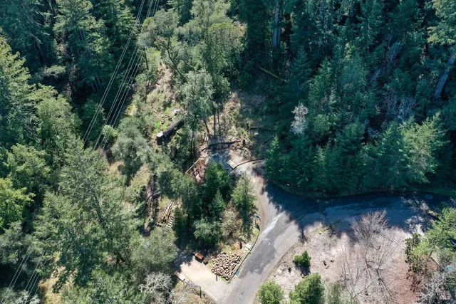 a view of a forest with trees