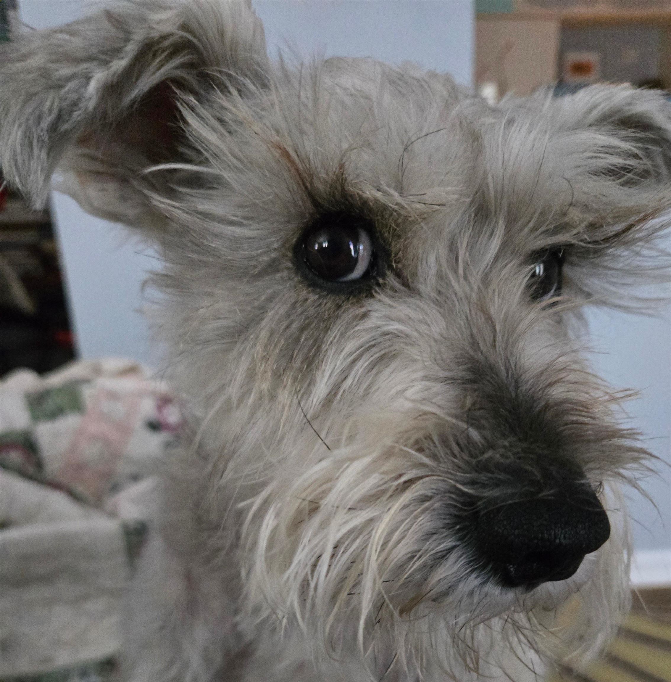 35 Collins Landing Road, Unit 32 Weare, NH 03281 - Photo 20 of 31