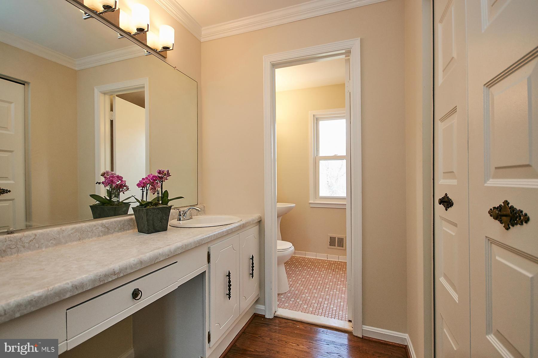 1744 Lockerbie Lane Vienna, VA 22182 - Photo 20 of 30 a bathroom with a sink a potted plant and a mirror