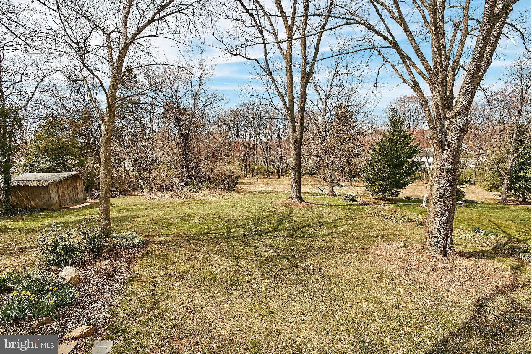 1744 Lockerbie Lane Vienna, VA 22182 - Photo 5 of 30 a view of yard with tree