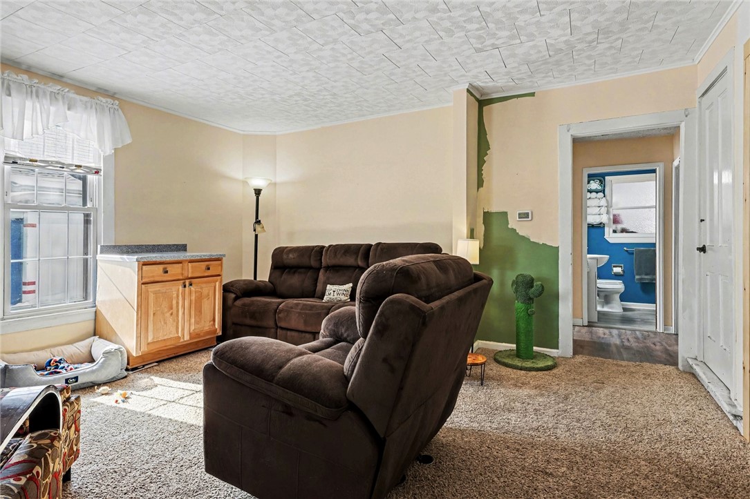 142 South Main Street Perinton, NY 14450 - Photo 7 of 33 Lower Front Living Area