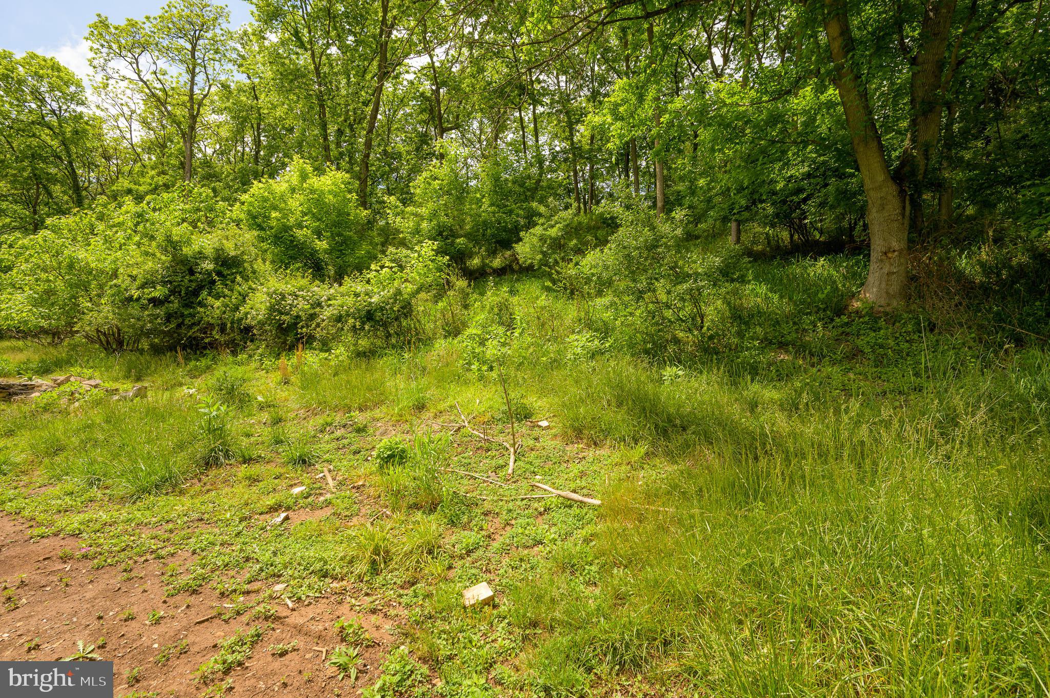 199 Bloomery Road Charles Town, WV 25414 - Photo 11 of 37 Gallery Image 11