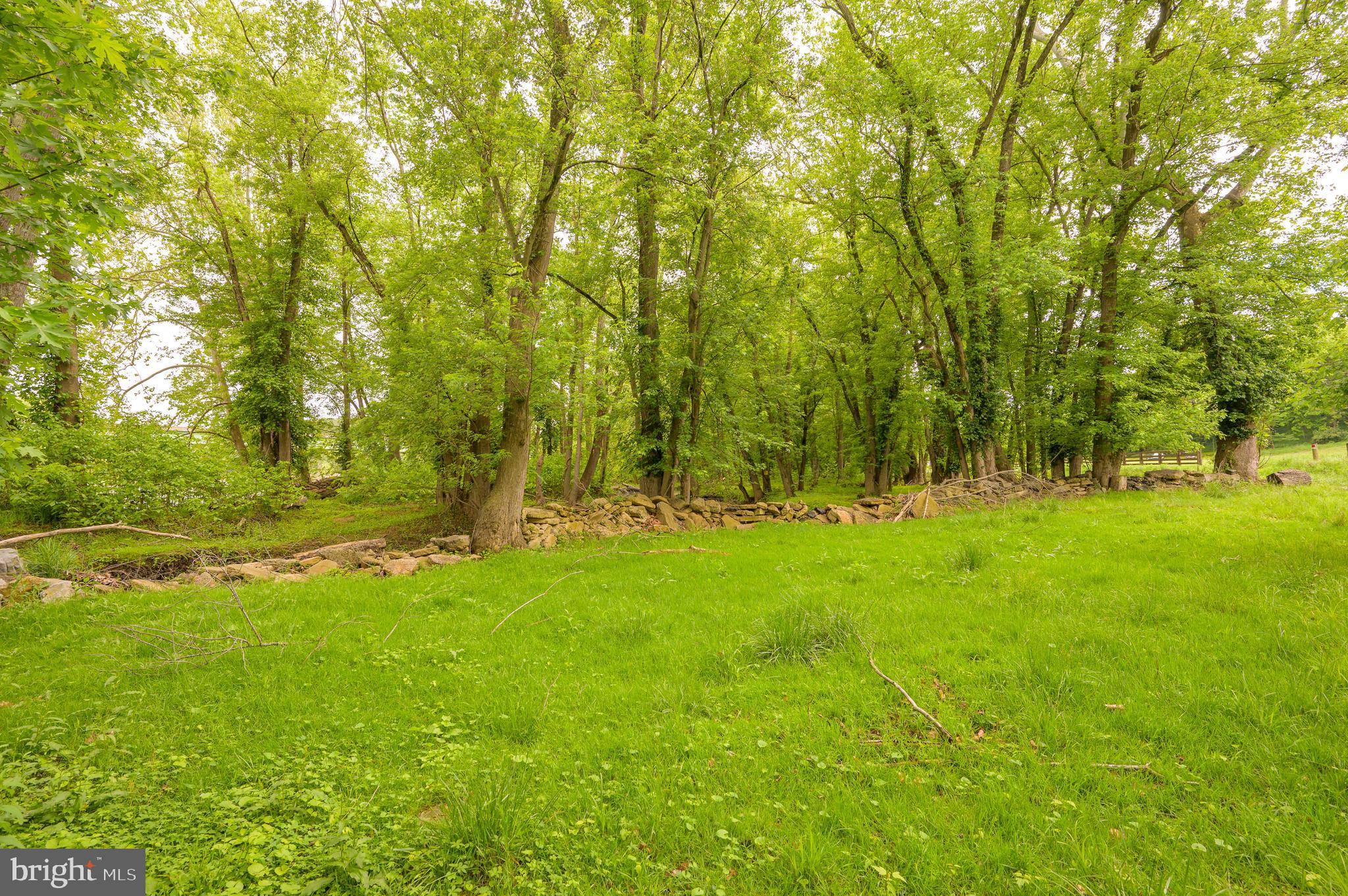 199 Bloomery Road Charles Town, WV 25414 - Photo 24 of 37 Gallery Image 24