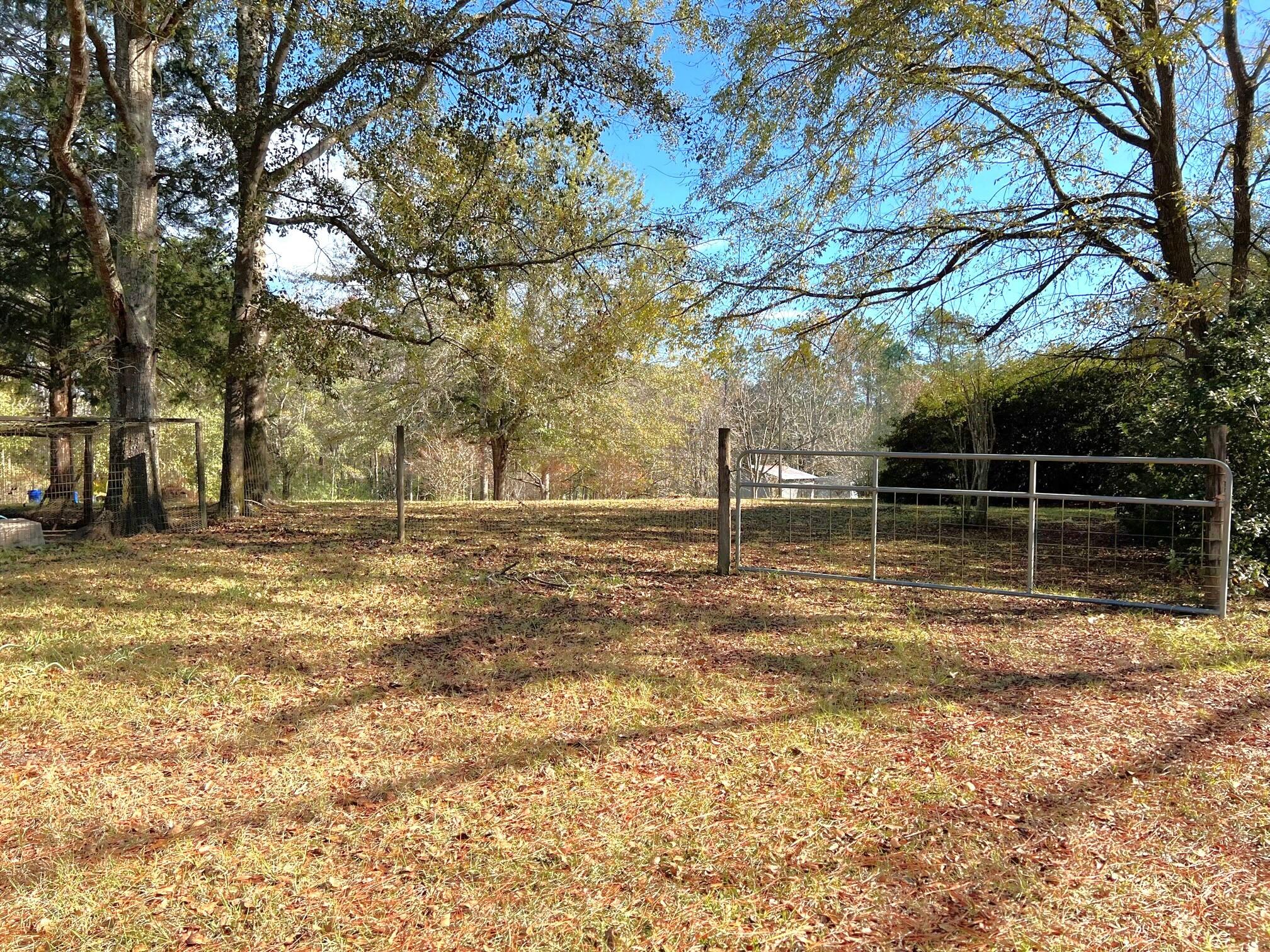401 Mims Road DeFuniak Springs, FL 32433 - Photo 48 of 78 Yard, Pasture, Pond (4)