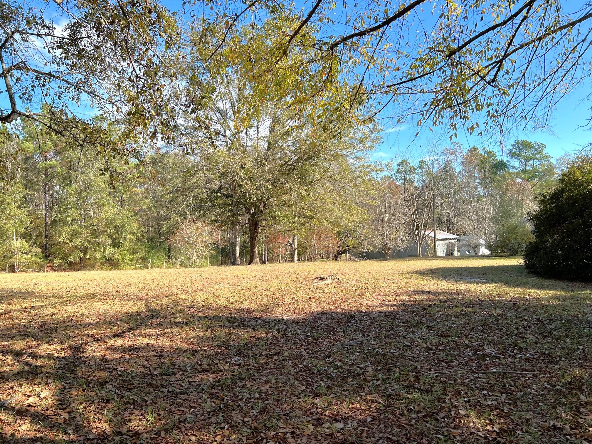 401 Mims Road DeFuniak Springs, FL 32433 - Photo 49 of 78 Yard, Pasture, Pond (5)