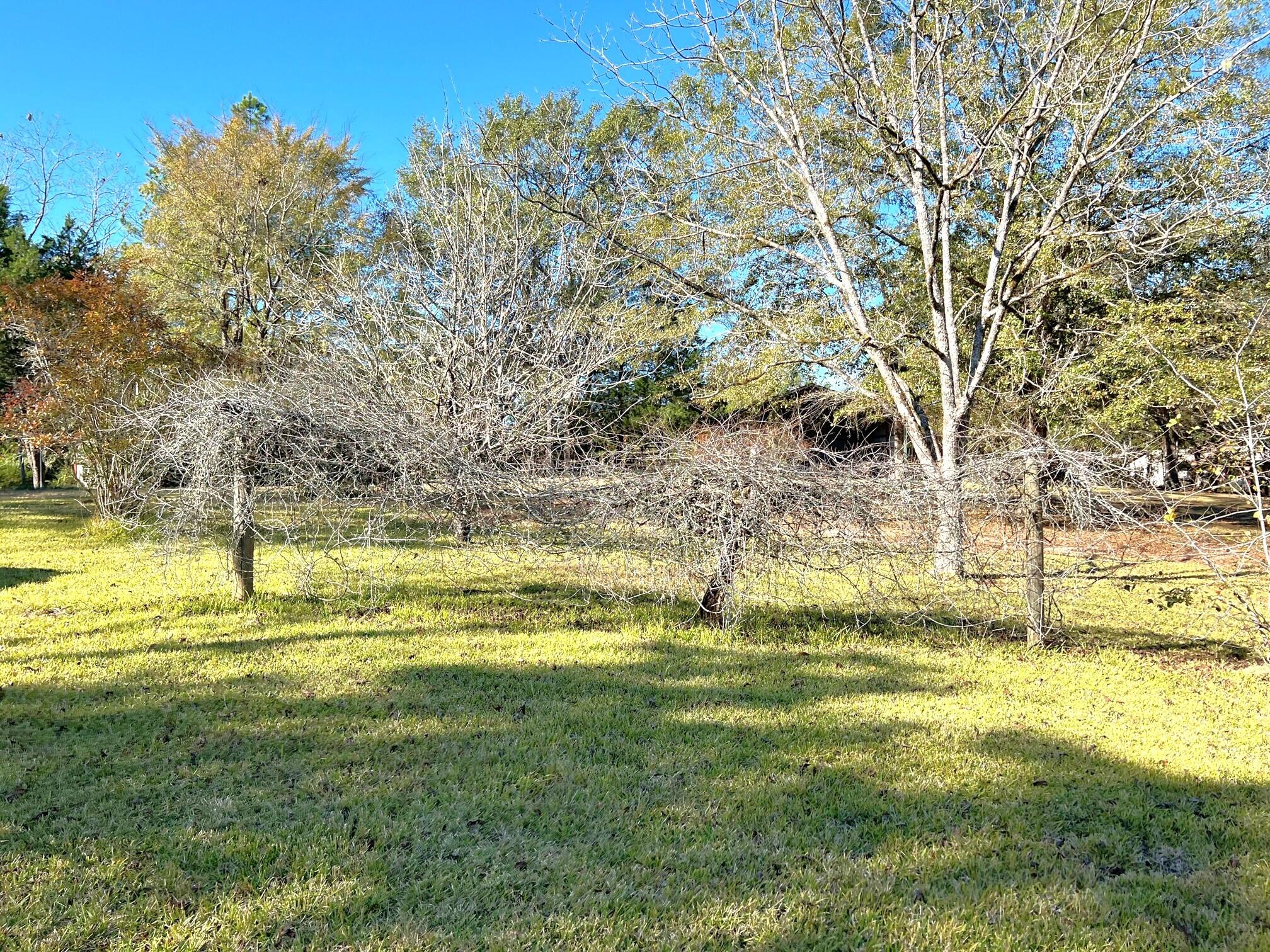 401 Mims Road DeFuniak Springs, FL 32433 - Photo 51 of 78 a view of a swimming pool with an outdoor space and seating area