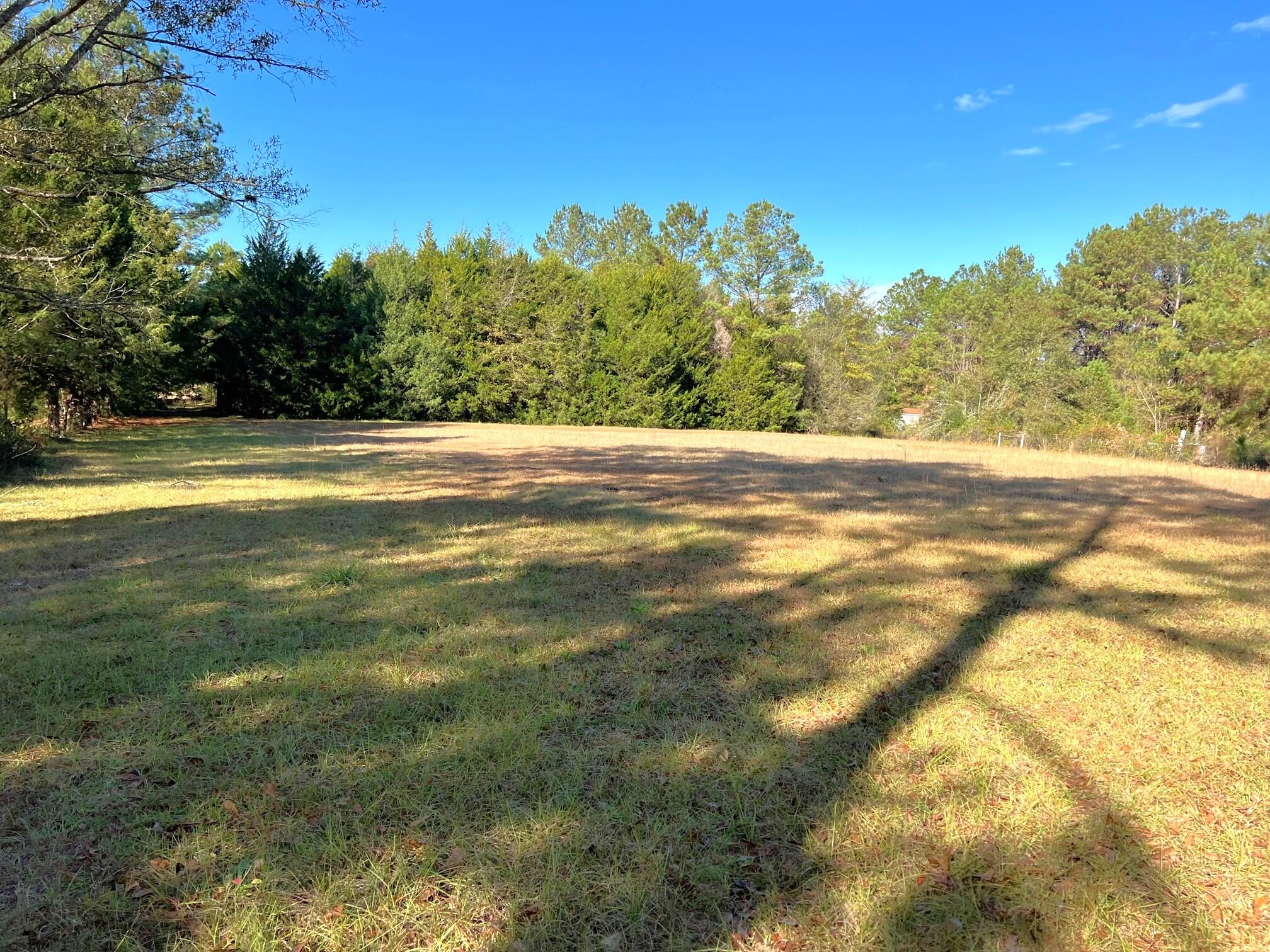 401 Mims Road DeFuniak Springs, FL 32433 - Photo 54 of 78 a view of a yard with a house in the background