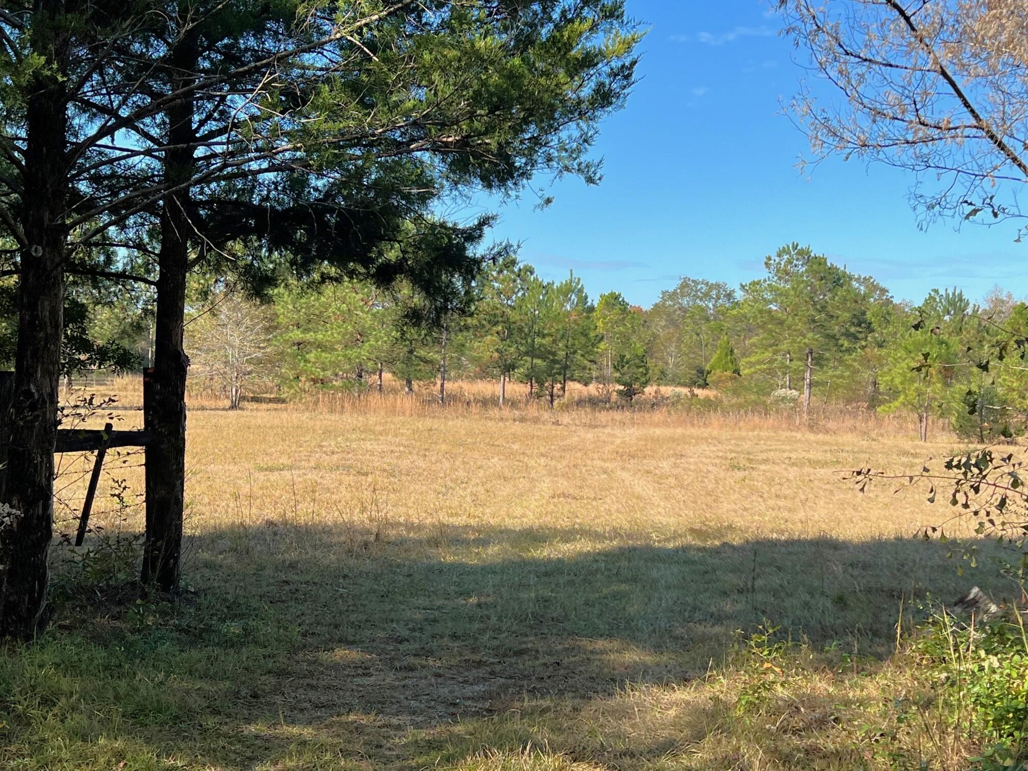 401 Mims Road DeFuniak Springs, FL 32433 - Photo 56 of 78 a view of a lake with a yard