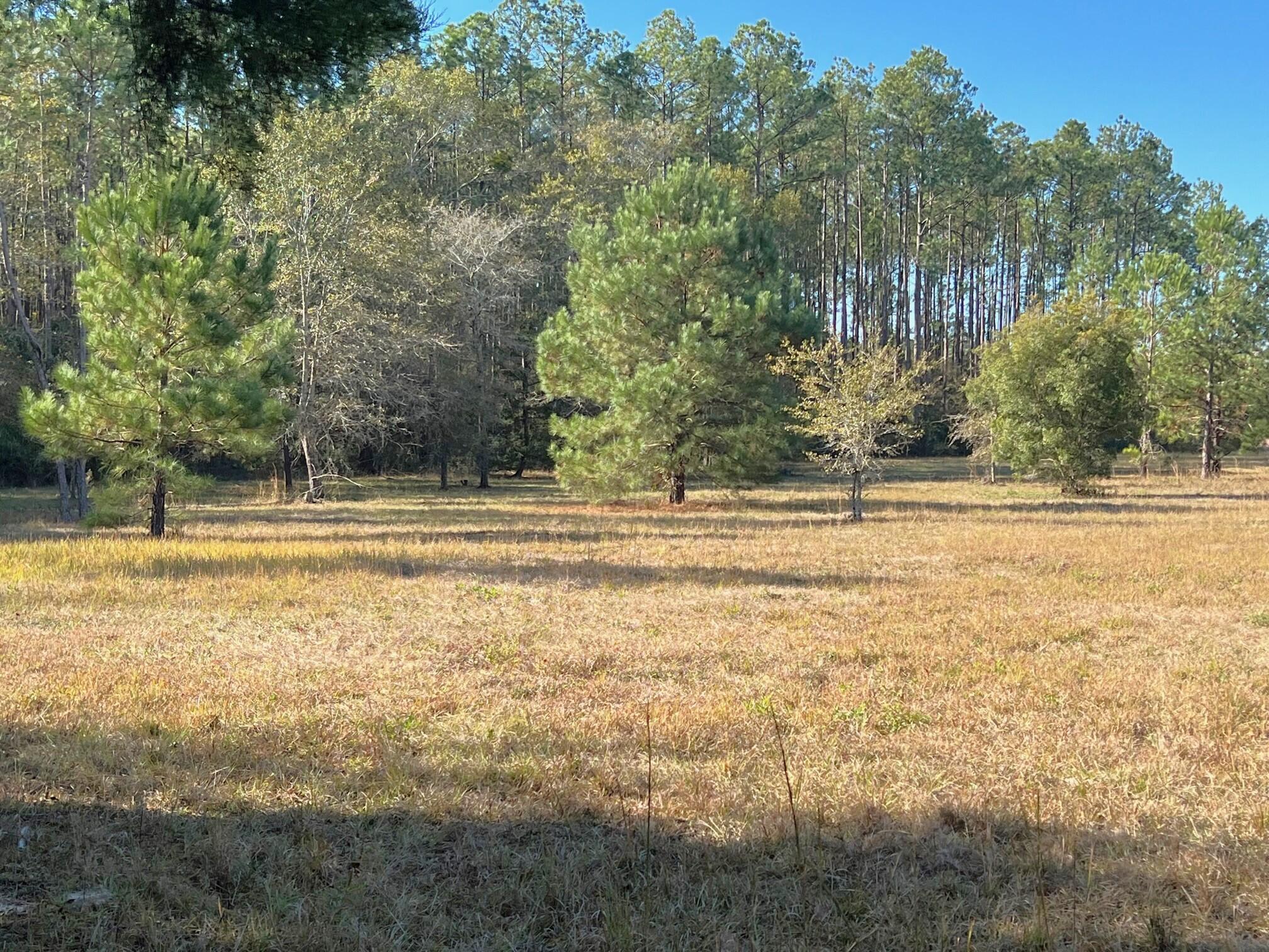 401 Mims Road DeFuniak Springs, FL 32433 - Photo 57 of 78 Yard, Pasture, Pond (15)