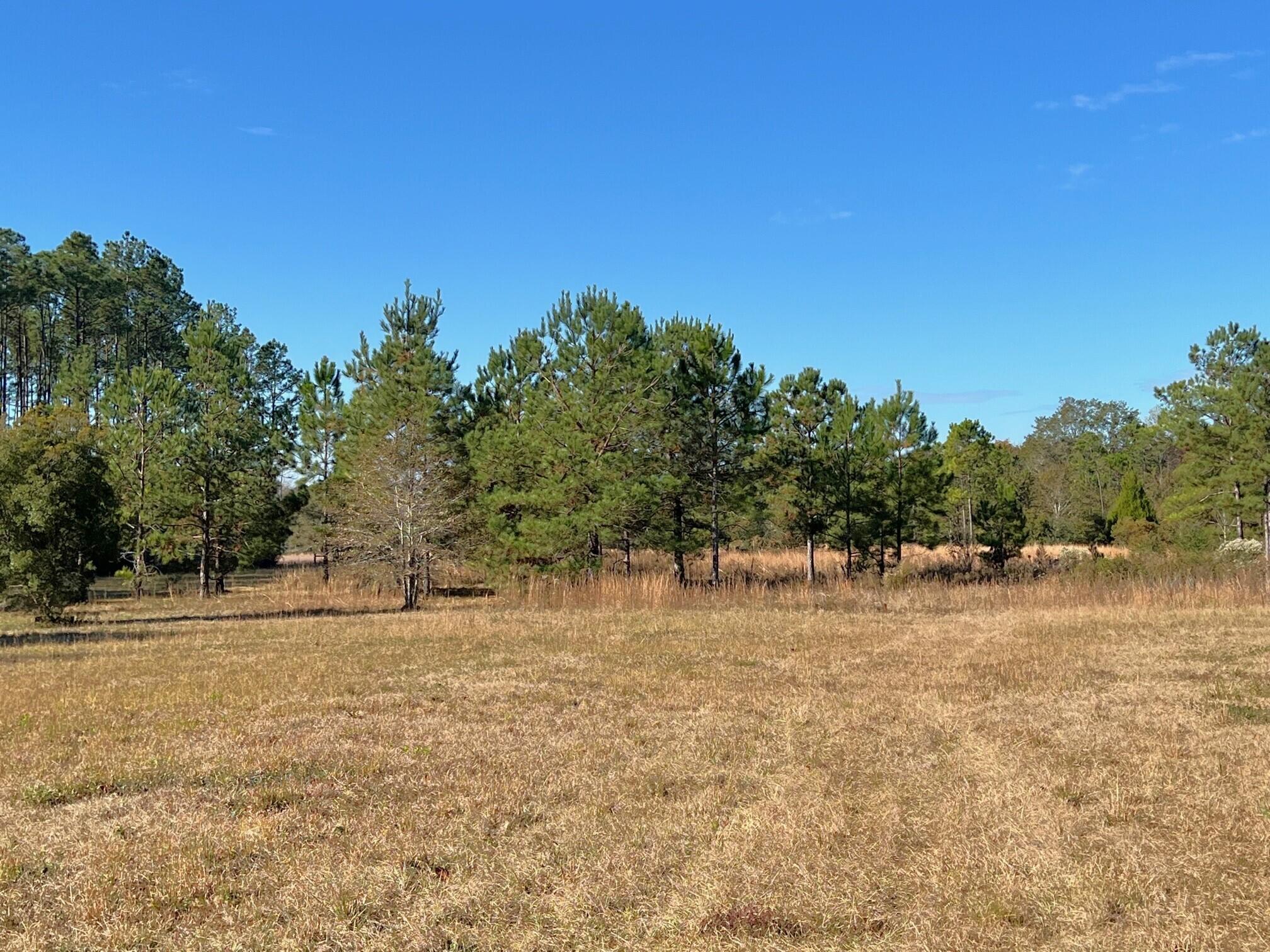 401 Mims Road DeFuniak Springs, FL 32433 - Photo 59 of 78 a backyard of a house with trees
