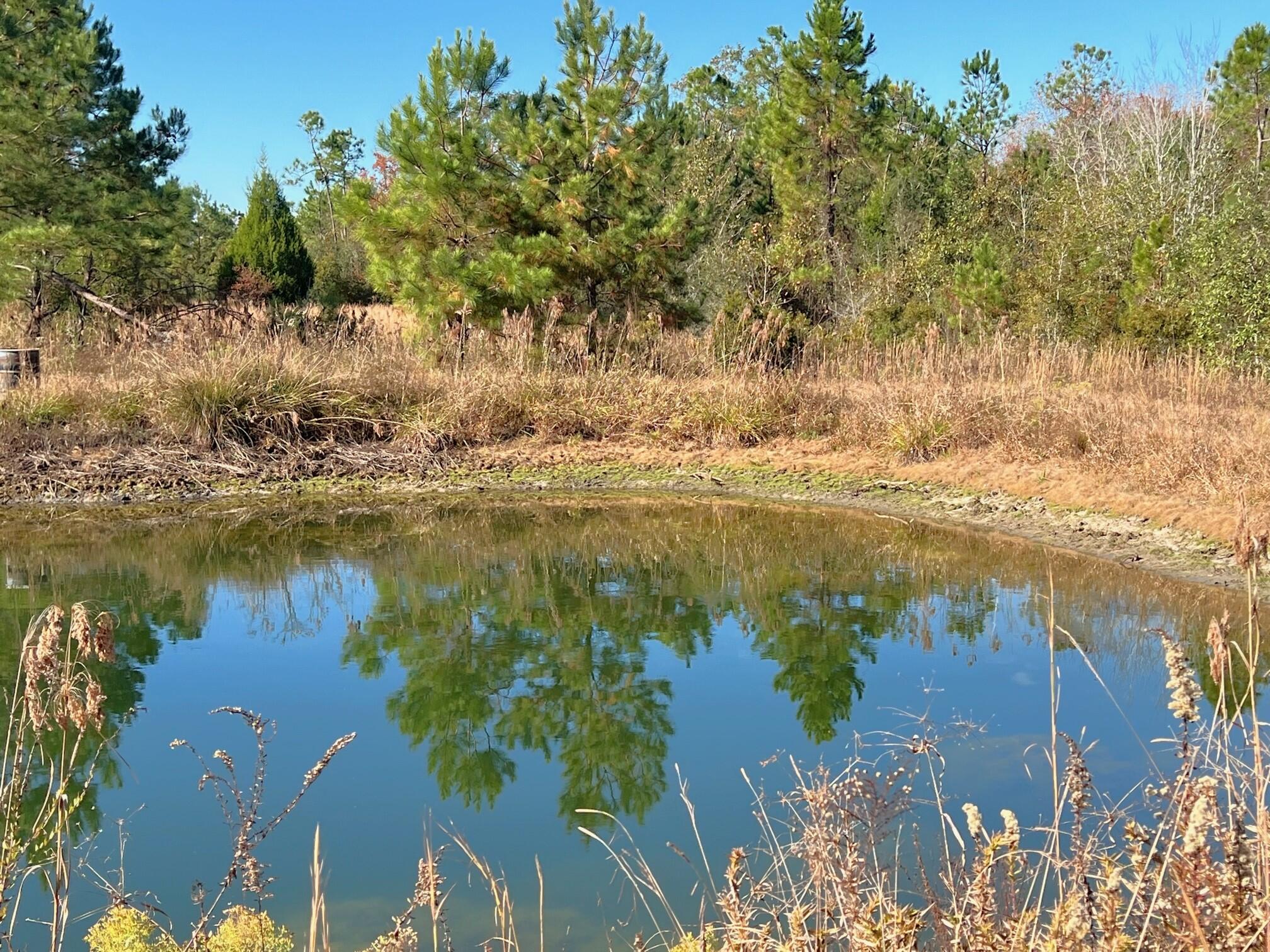401 Mims Road DeFuniak Springs, FL 32433 - Photo 62 of 78 Yard, Pasture, Pond (20)