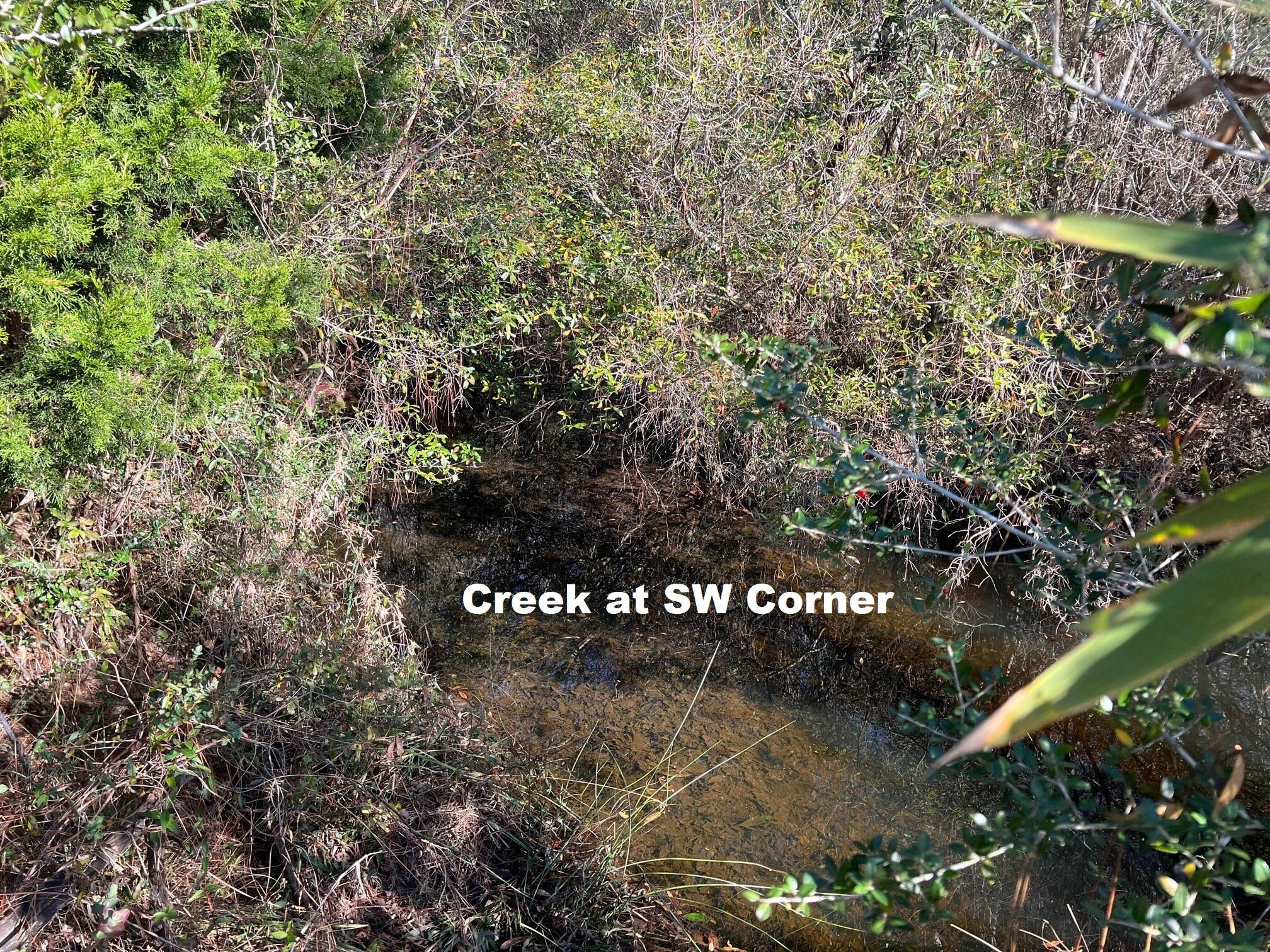 401 Mims Road DeFuniak Springs, FL 32433 - Photo 65 of 78 a view of a tree in a yard