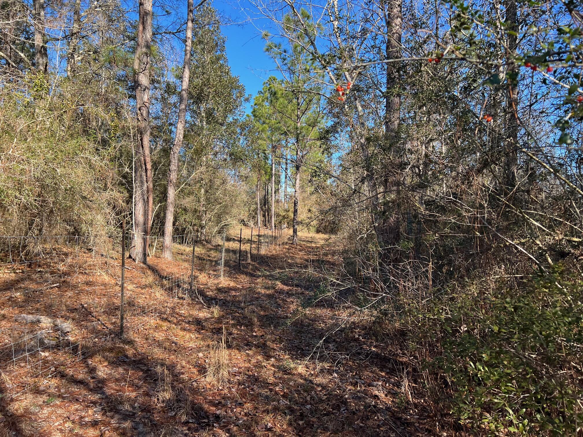 401 Mims Road DeFuniak Springs, FL 32433 - Photo 66 of 78 IMG_7622
