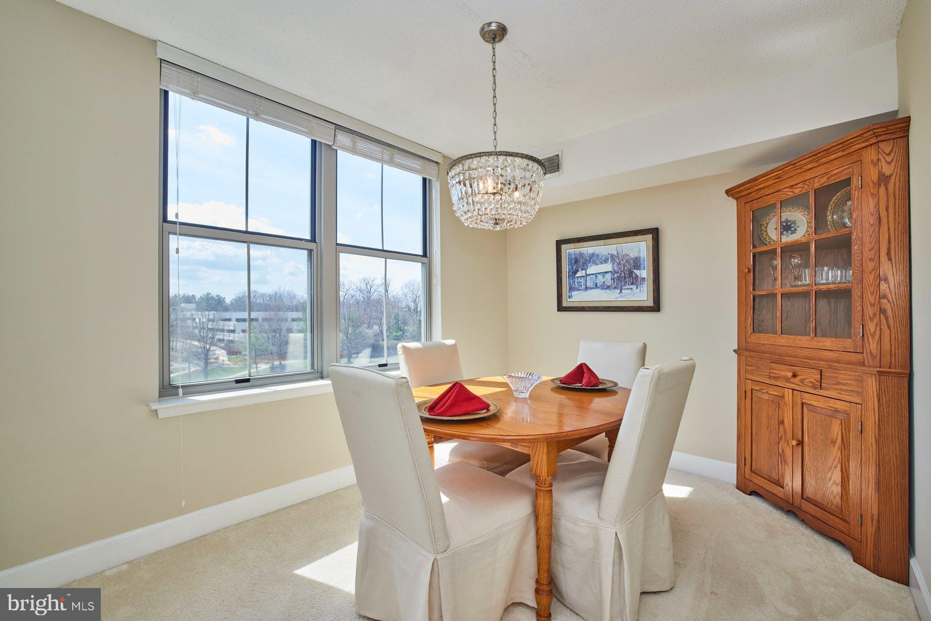 11800 Sunset Hills Road, Unit 521 Reston, VA 20190 - Photo 9 of 34 Sunny and bright