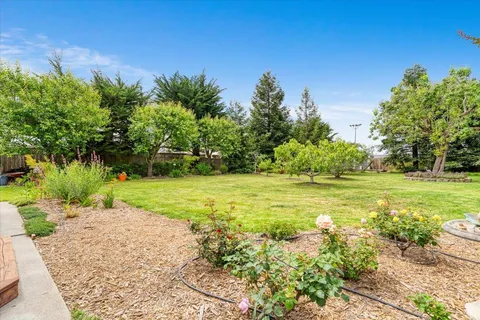 a view of a garden with an outdoor space