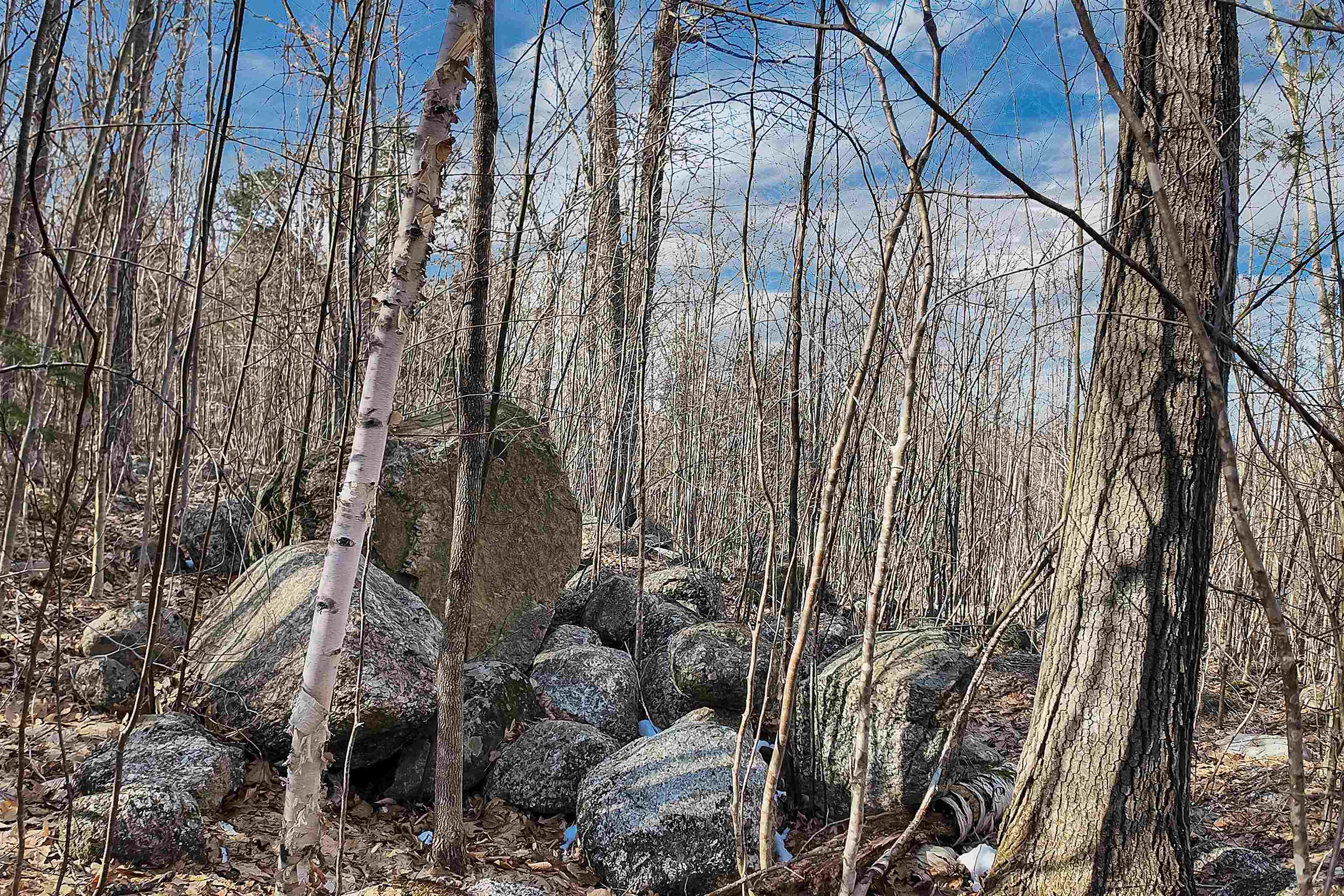 0 Chemung Road Meredith, NH 03253 - Photo 12 of 14