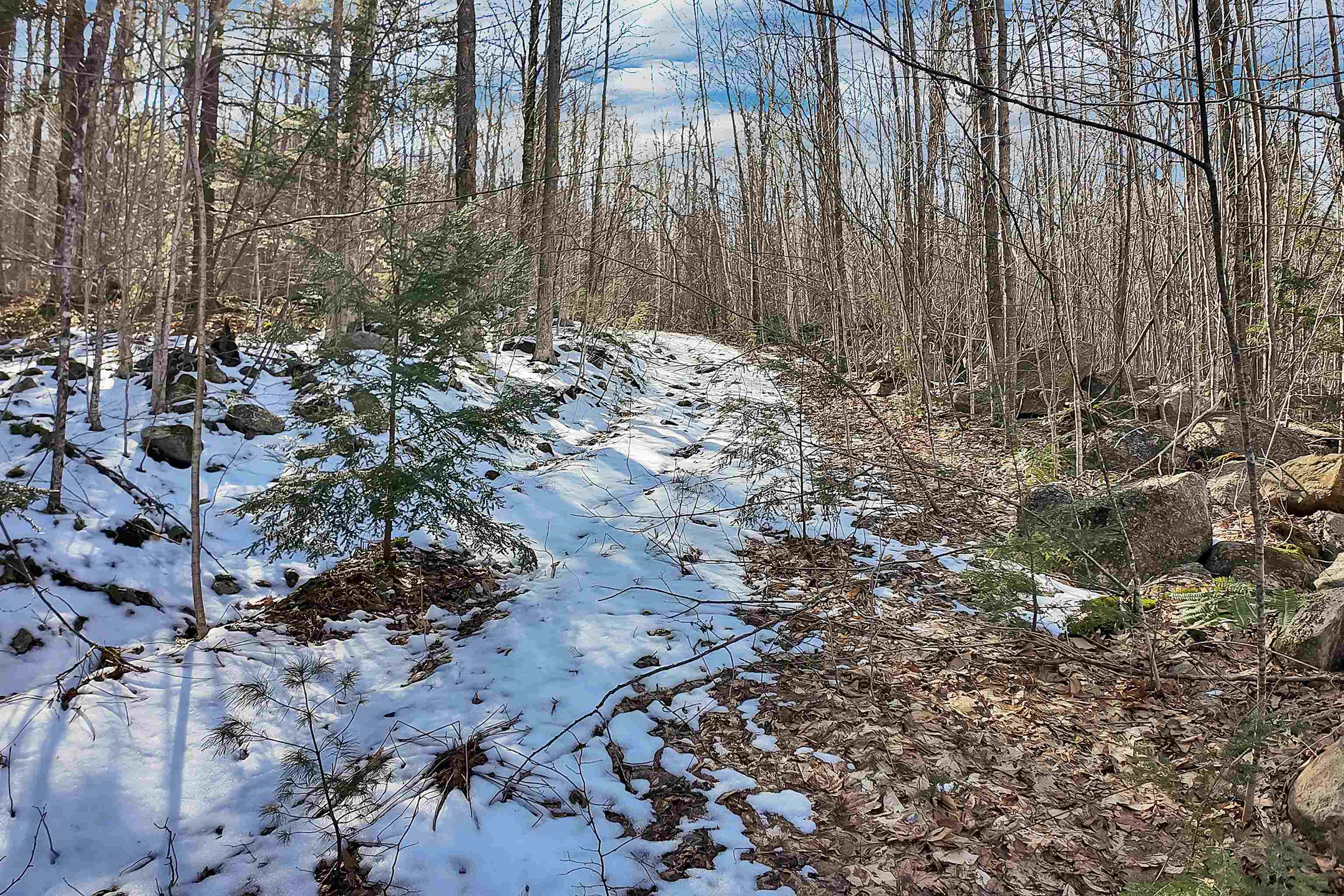 0 Chemung Road Meredith, NH 03253 - Photo 10 of 14