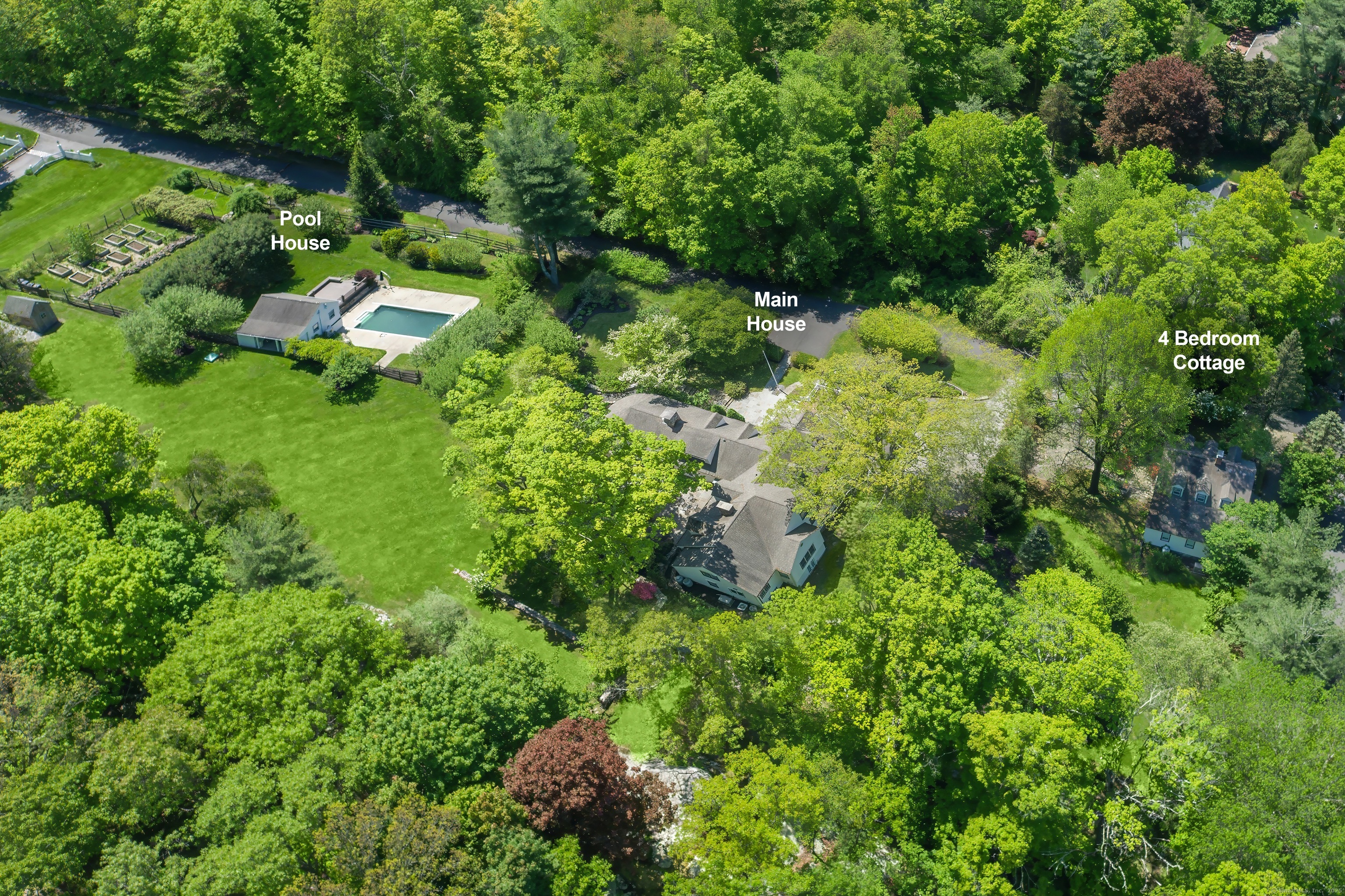 a view of a garden with plants