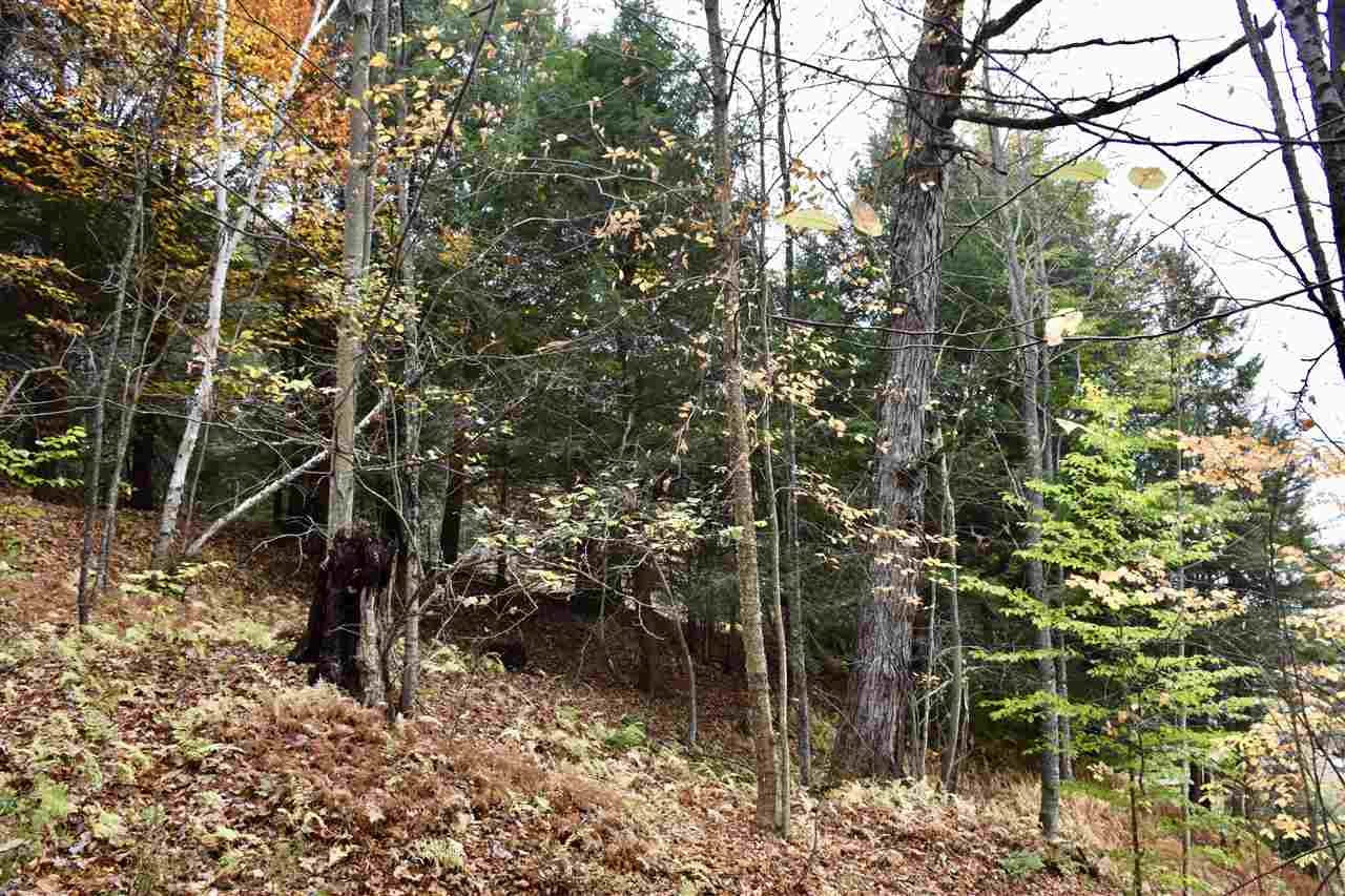 1520 Chandler Road Berlin, VT 05663 - Photo 33 of 39
