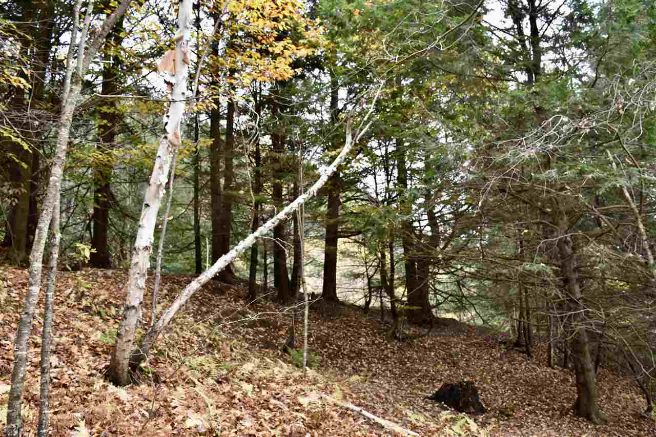 1520 Chandler Road Berlin, VT 05663 - Photo 34 of 39