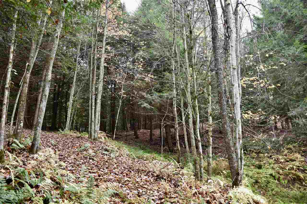 1520 Chandler Road Berlin, VT 05663 - Photo 35 of 39