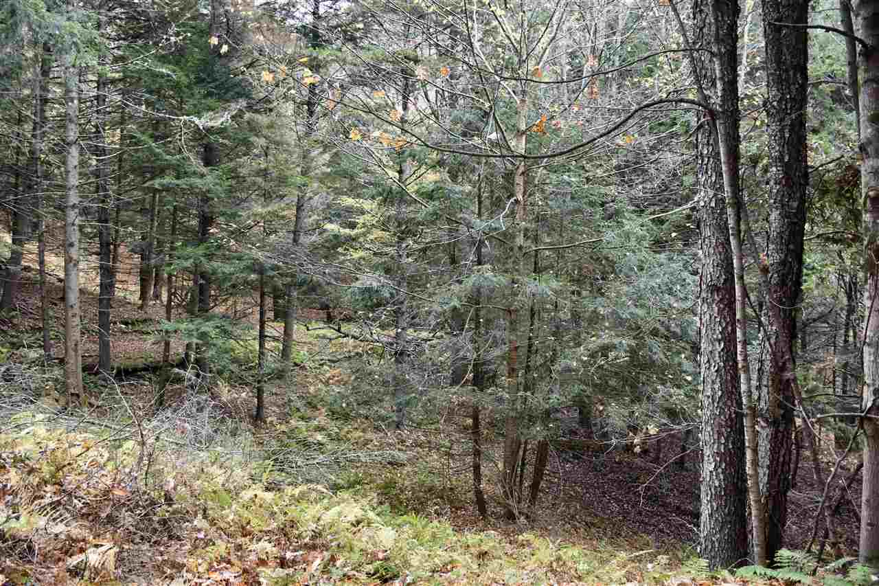 1520 Chandler Road Berlin, VT 05663 - Photo 36 of 39