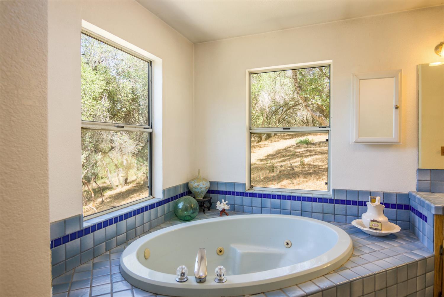 46031 Spring Trail Coarsegold, CA 93614 - Photo 22 of 37 Gallery Image 22