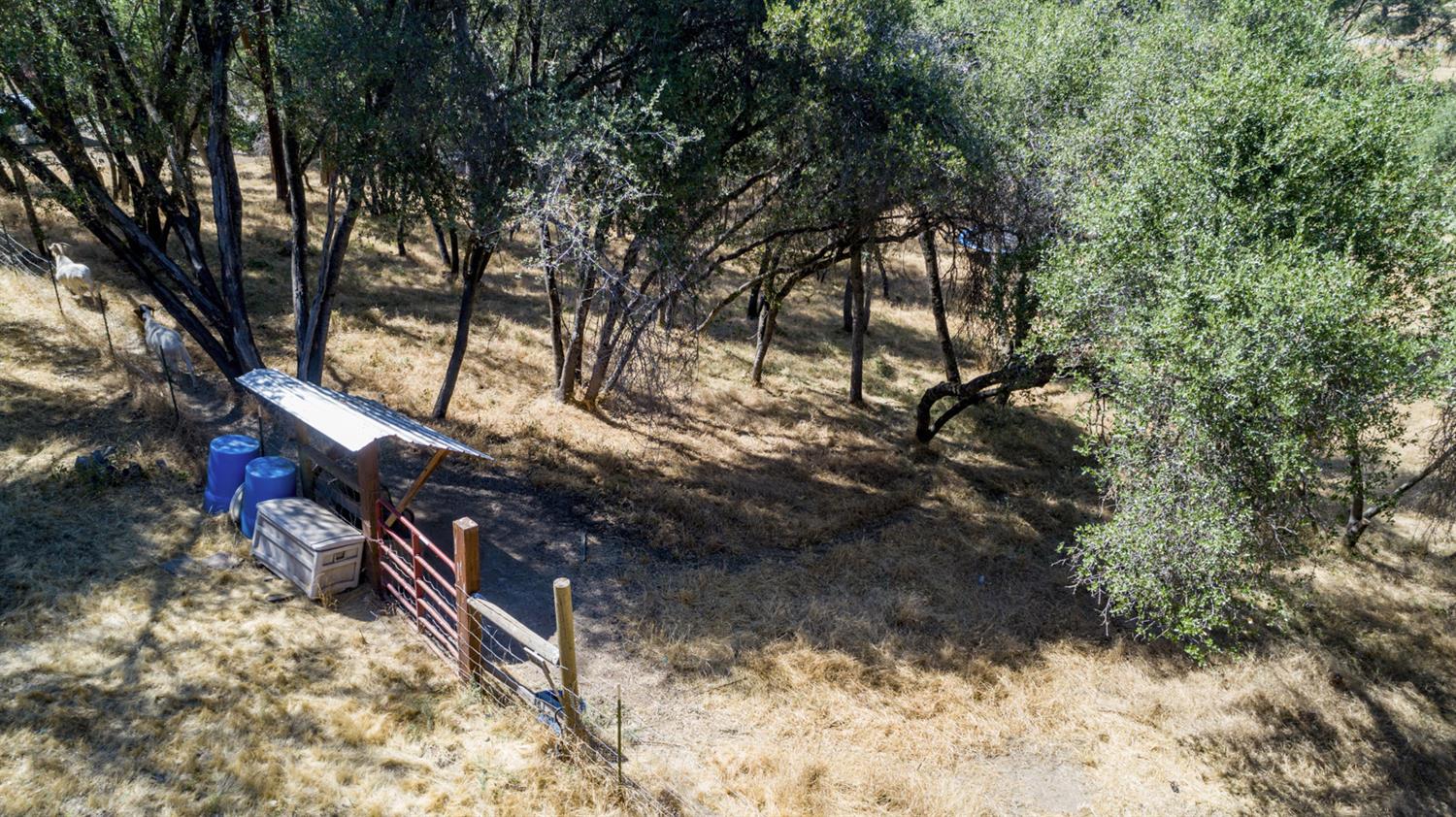 46031 Spring Trail Coarsegold, CA 93614 - Photo 33 of 37 Gallery Image 33