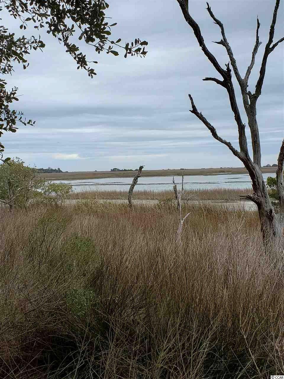 0 Gillette Place Murrells Inlet, SC 29576 - Photo 3 of 4 Gallery Image 3