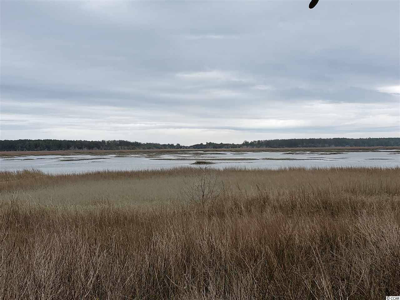 0 Gillette Place Murrells Inlet, SC 29576 - Photo 4 of 4 Gallery Image 4
