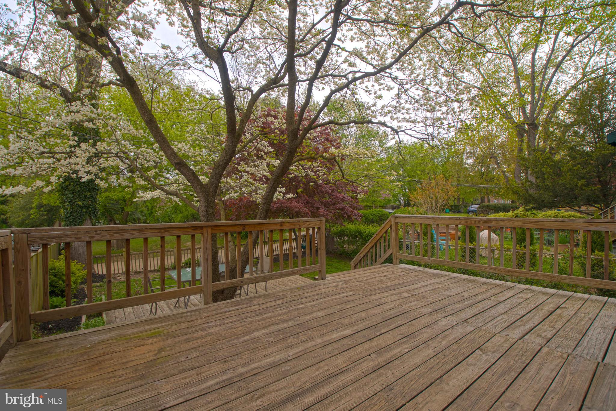 218 Stanmore Road Baltimore, MD 21212 - Photo 49 of 54