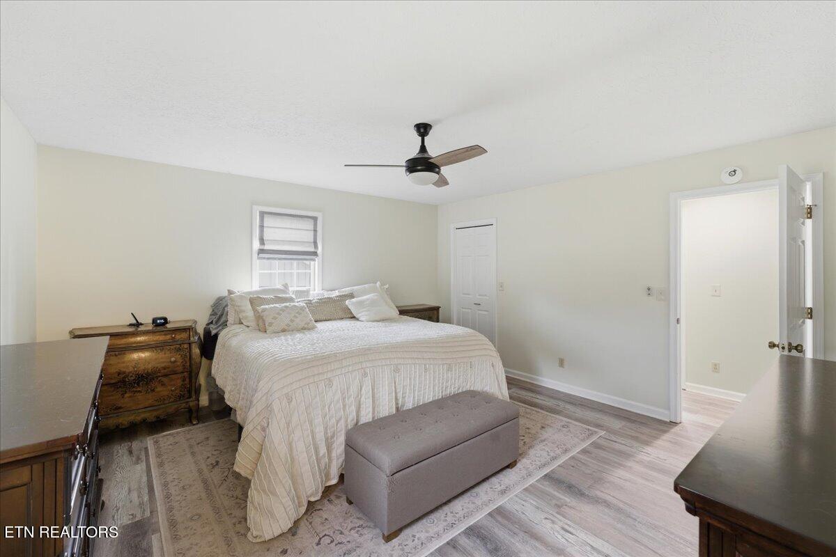 301 Cheestana Way Loudon, TN 37774 - Photo 19 of 44 19-Primary Bedroom