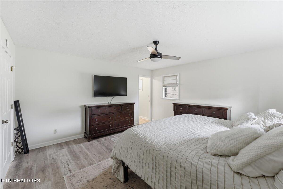 301 Cheestana Way Loudon, TN 37774 - Photo 20 of 44 20-Primary Bedroom