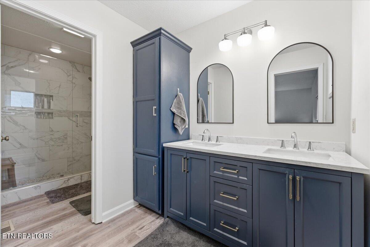 301 Cheestana Way Loudon, TN 37774 - Photo 21 of 44 21-Primary Bath